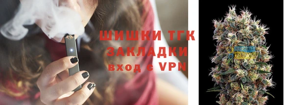 индика Семилуки