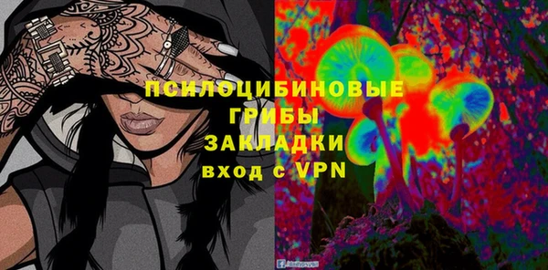 индика Семилуки